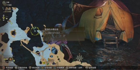 魔兽世界孢子村战袍获取攻略：详细步骤与技巧分享
