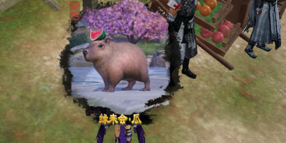 魔兽世界怀旧服耐法头任务详细奖励解析，耐法头任务怎么做