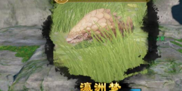 魔兽世界战士职业完整提升攻略：打造最强坦克与输出专家_魔兽世界战士怎么样
